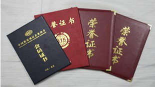 荣誉奖项