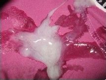精子是什么颜色,精子是什么味道,精子是什么样子
